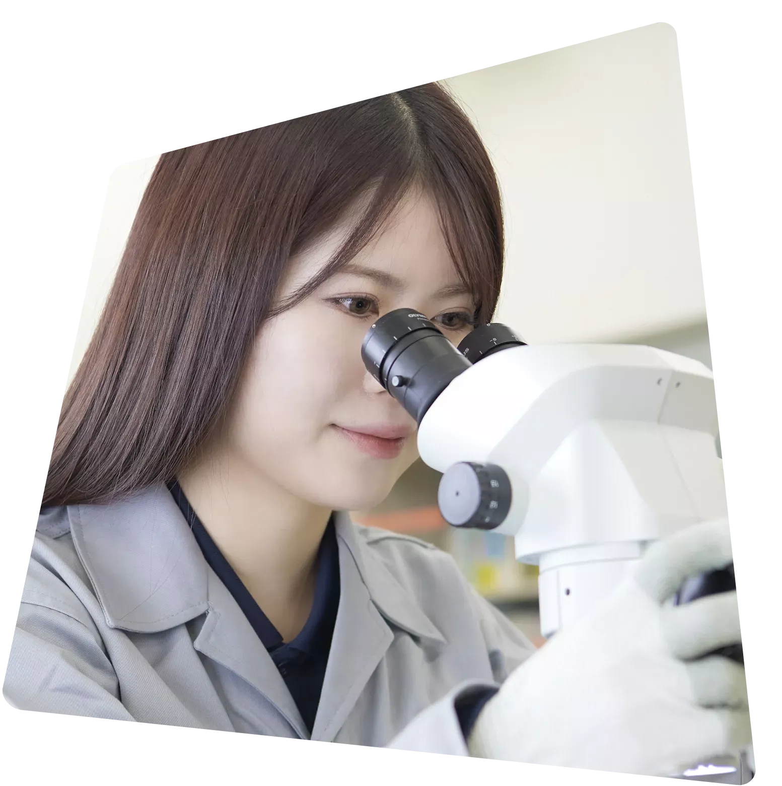 NICHIA 日亜化学工業株式会社 | 新卒採用情報サイト